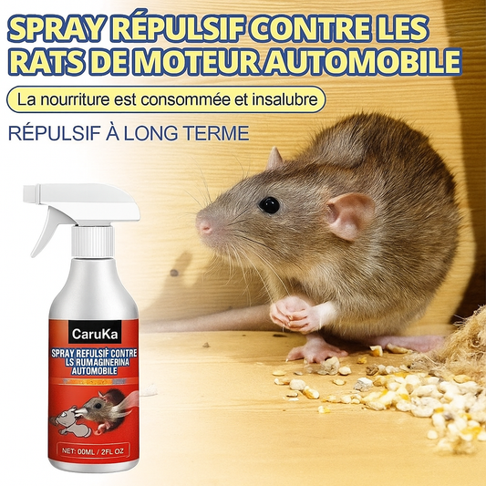 Spray anti-souris pour moteur