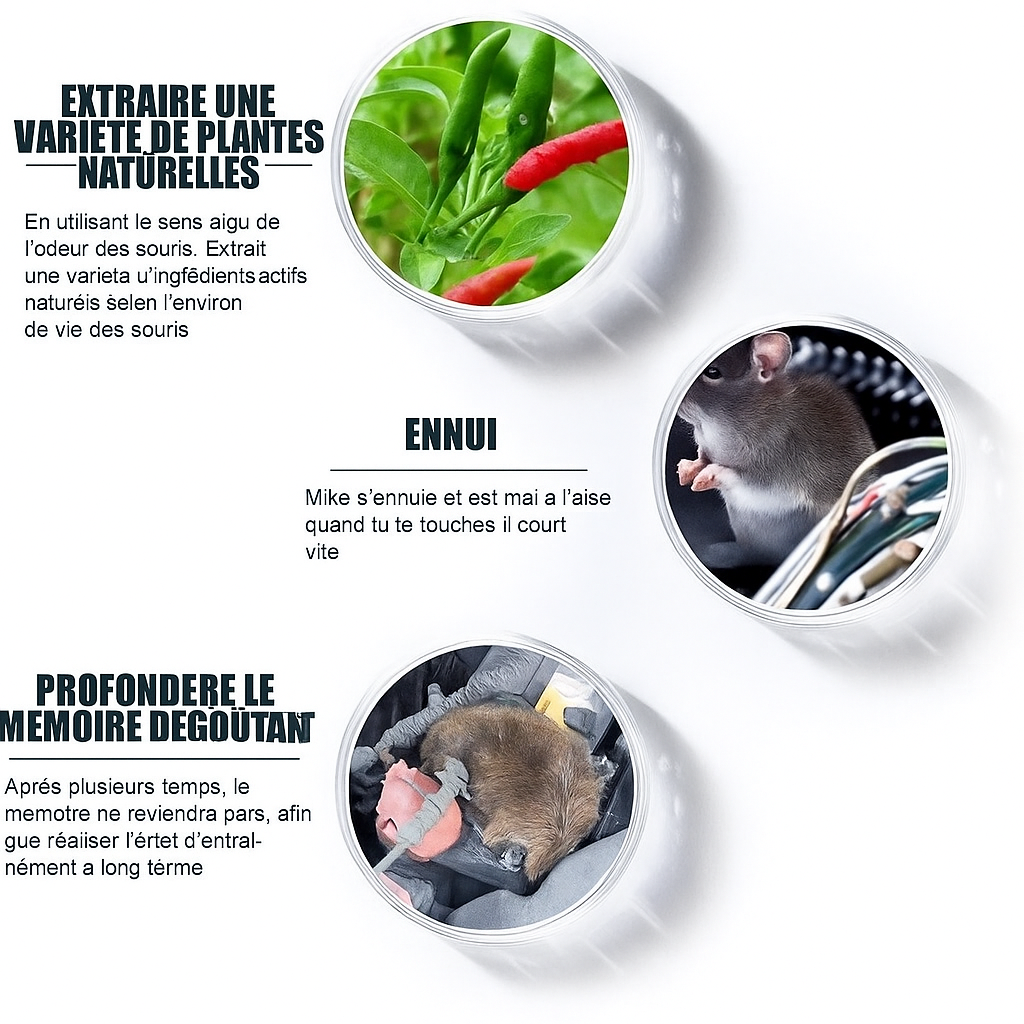 Spray anti-souris pour moteur
