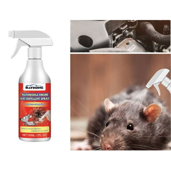 Spray anti-souris pour moteur